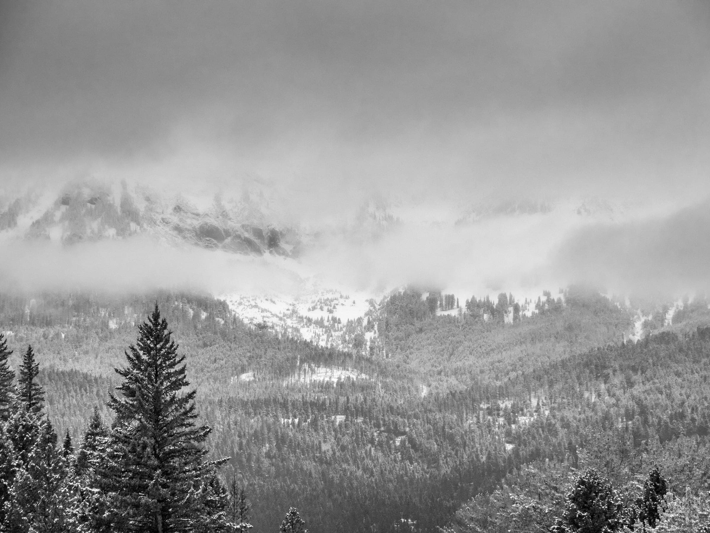 B&W storm rolling across a Bridger valley and forest