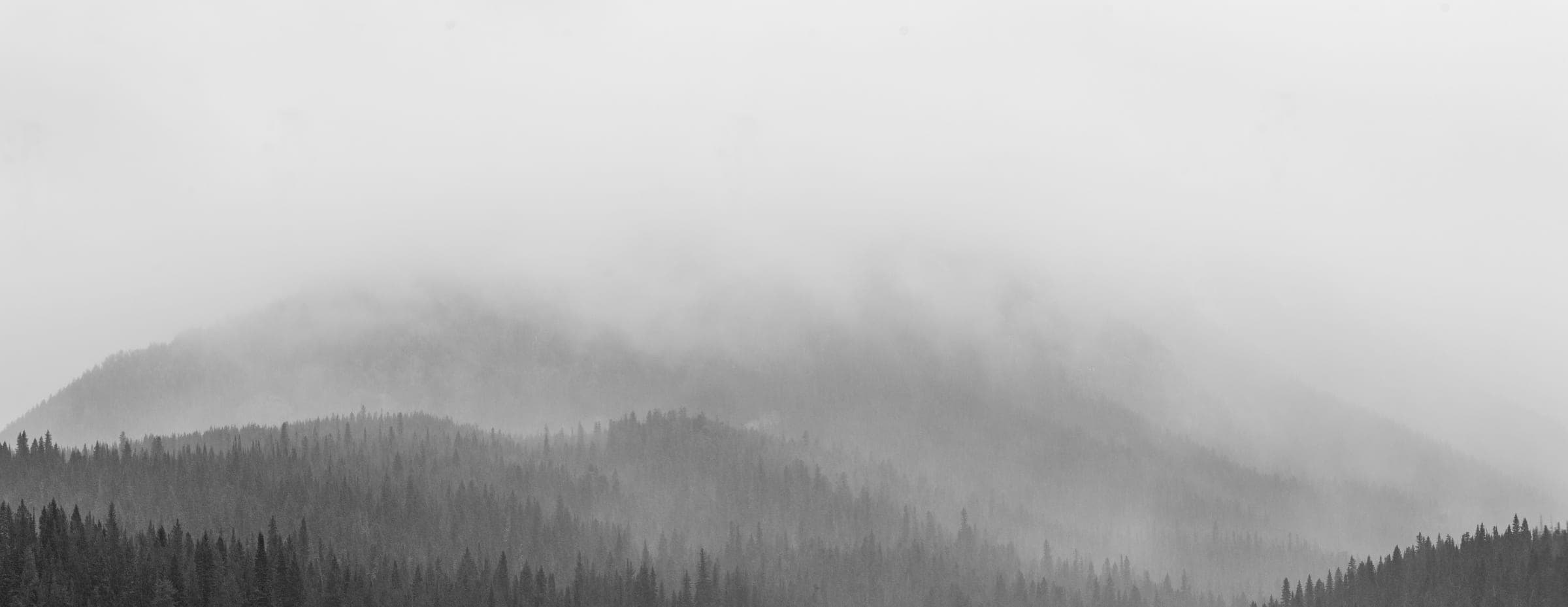 Fog pouring over forested ridges, Hyalite
