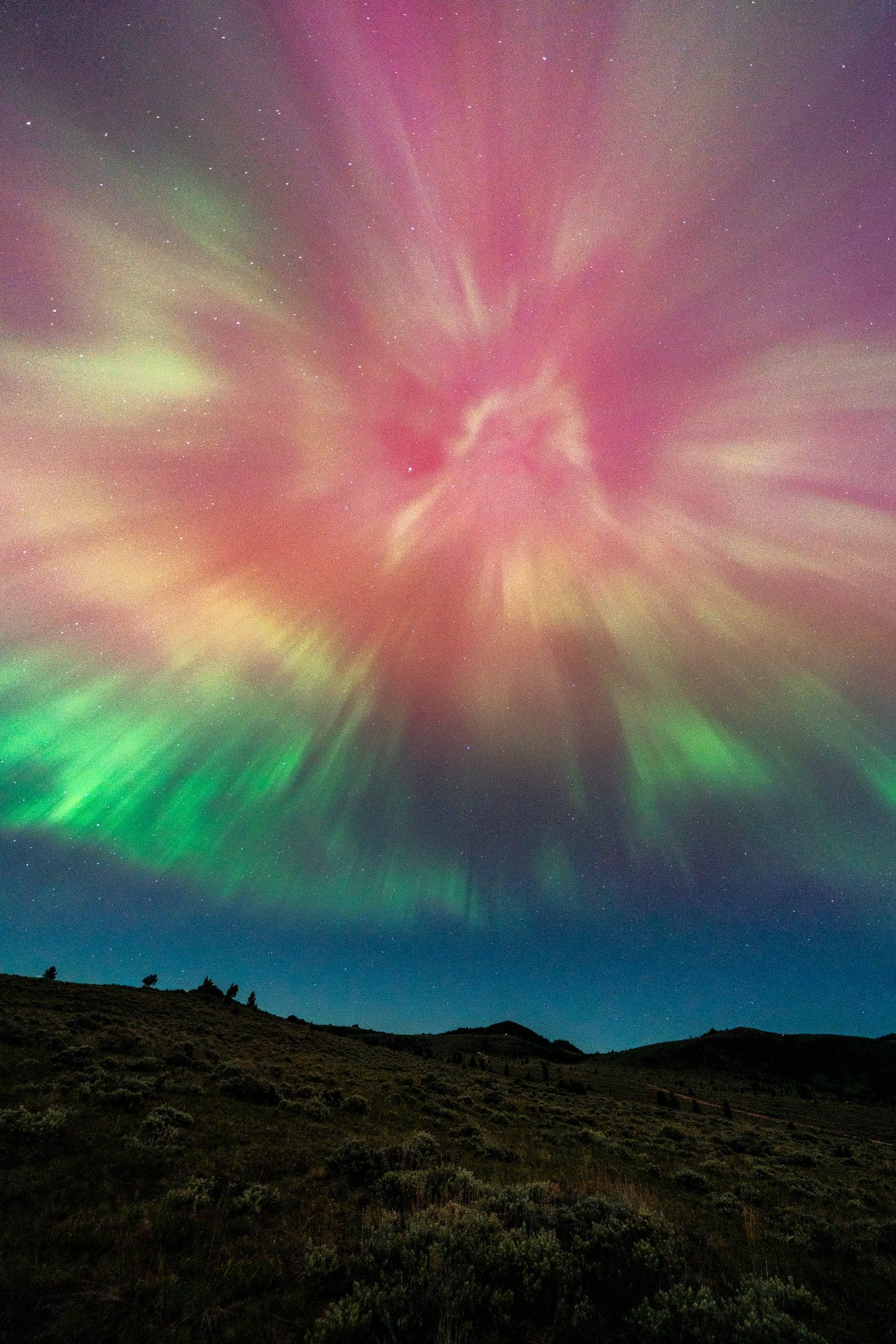 Aurora corona exploding pink and green overhead