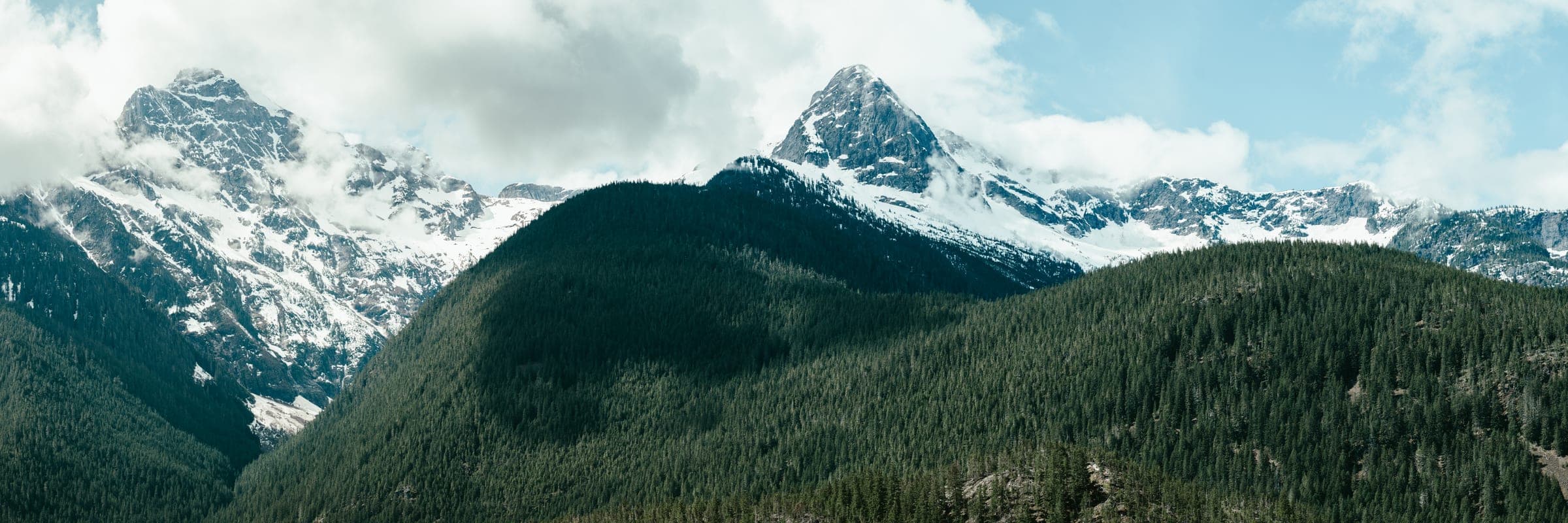 North Cascades peaks above dark forest