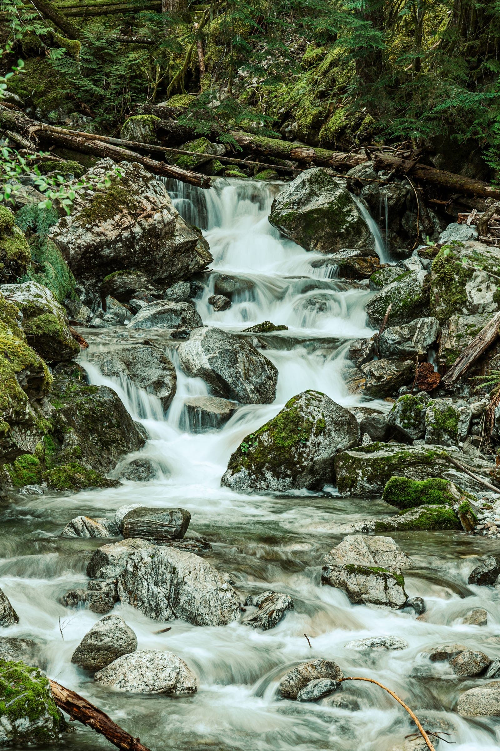 Silky long-exposure creek cascading over mossy boulders, North Cascades