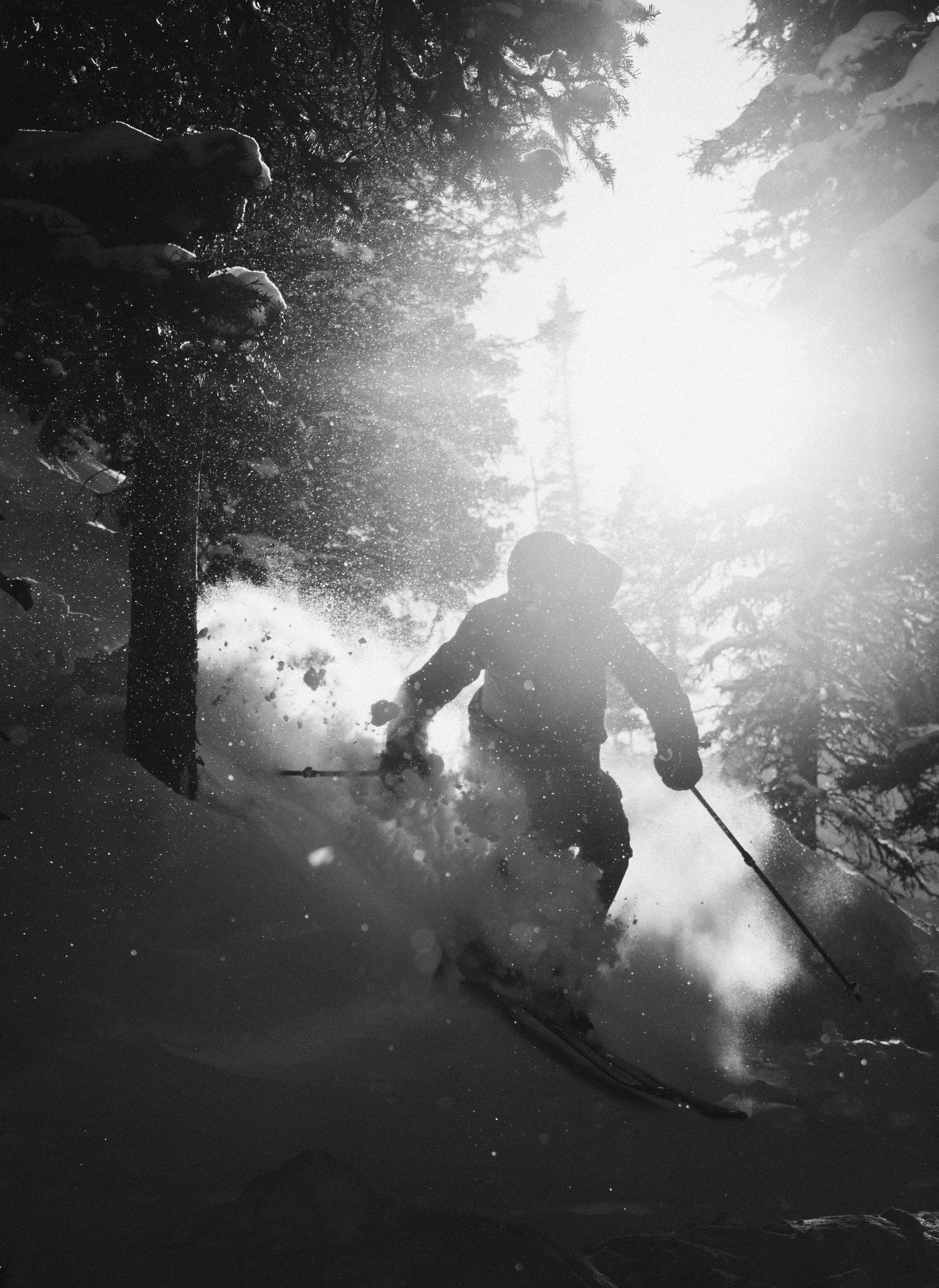 Black-and-white skier exploding through backlit powder in trees