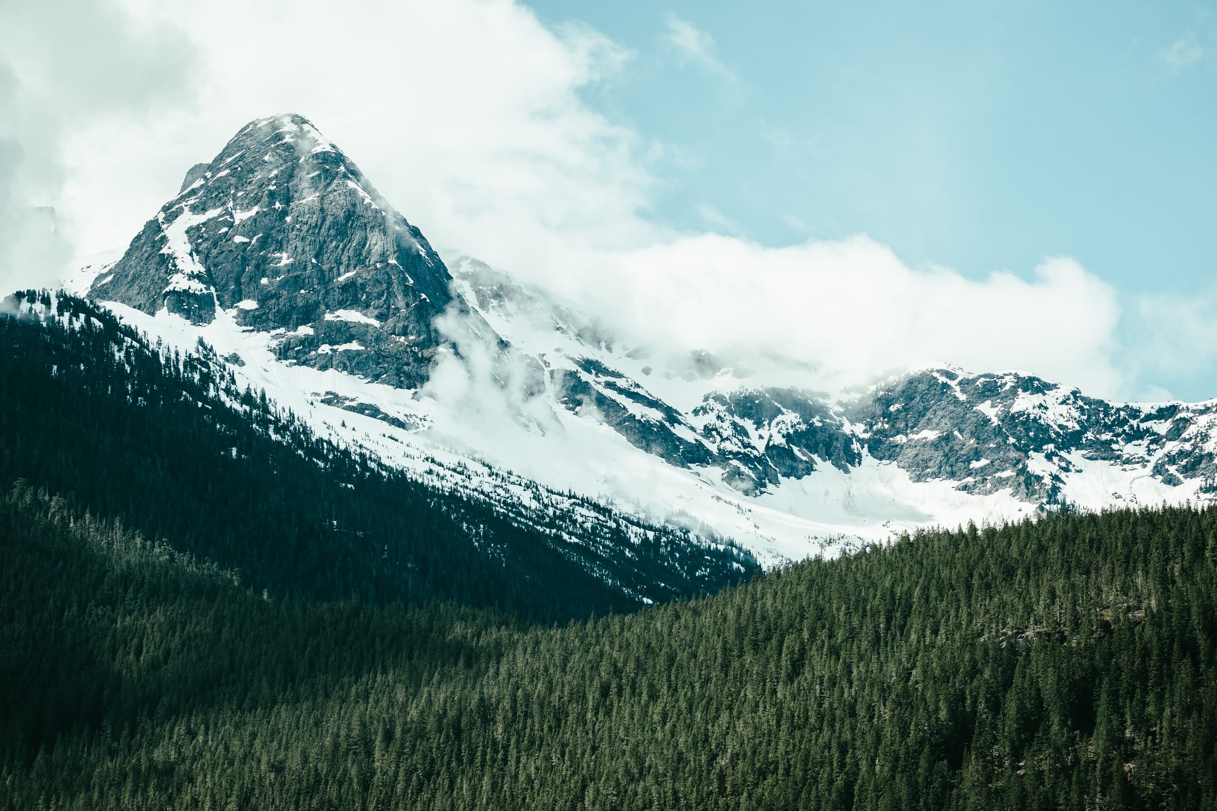 North Cascades peak wrapped in cloud above dark forest