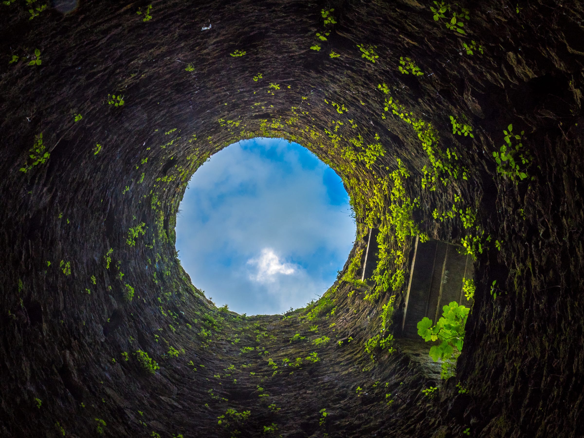 Looking up a mossy stone well to a circle of sky